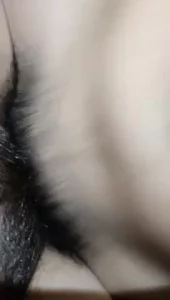啪啪啪